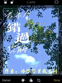 我不会错过你的