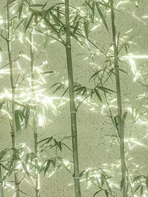 命中的一劫