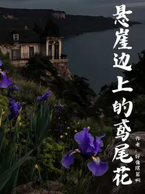 悬崖边上的鸢尾花
