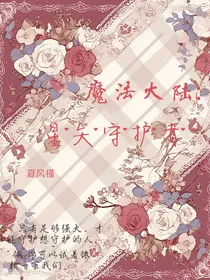 魔法大陆：星矢守护者