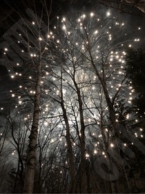 与沈星回的点滴小事儿