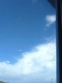 当家教被冰山王子缠上了