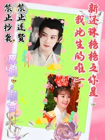 新还珠格格之你是我此生的唯一