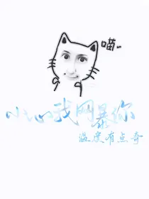 TF四代：小心我网暴你