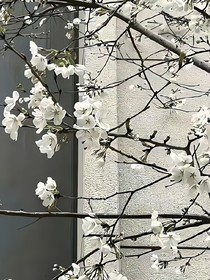 皮下乌托邦