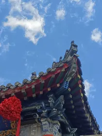 金茂坪往事