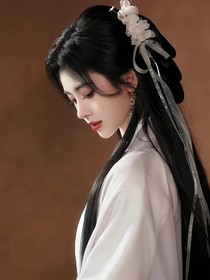 云之羽：明月高悬