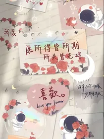 隐秘的守护