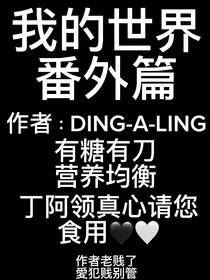 我的世界番外篇丁阿领精选