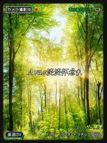 淡淡怀念