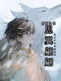 查九：思翼翩翩