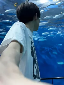 kpl：哒咩禁止狗塑