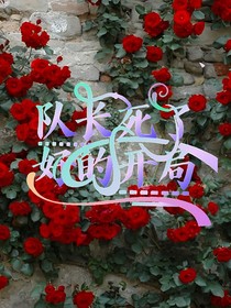 队长死了，好的开局