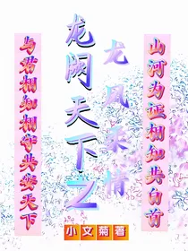 龙阙天下之龙凤柔情