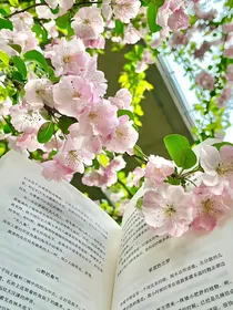 各IPcp聚集地
