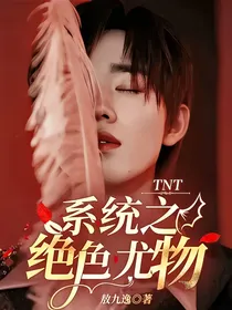 TNT系统之绝色尤物