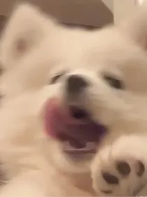 快穿短剧：开心就好