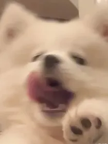 综影视：大家开心就好
