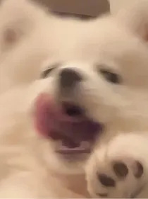 综影视：拯救破碎的他