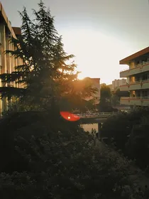 来自夏夜的繁星