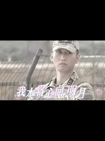 火凤凰：我本将心向明月
