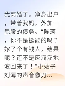 从离婚到逆袭她成了小镇最美女老板