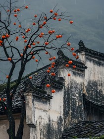 散文集（？）