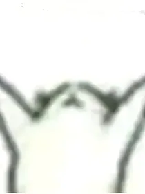 你没钱修个屁仙