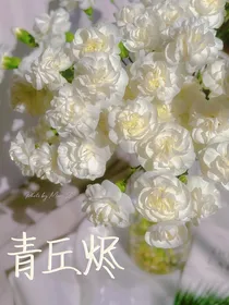 青丘烬