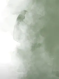 秋起夏遗