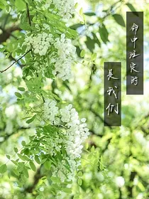 命中注定的是我们