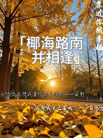 椰海路南并相逢