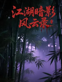 江湖暗影风云录