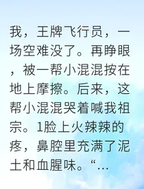 重生王牌飞行员我掌控地下势力