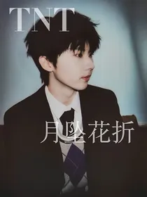 TNT月坠花折