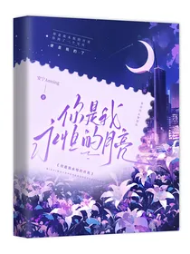 你是我永恒的月亮