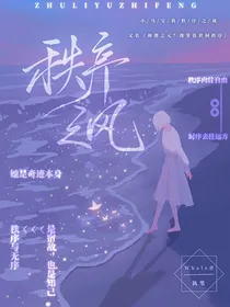 小马宝莉：秩序之风