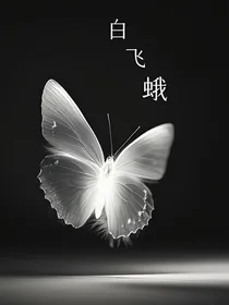 白飞蛾