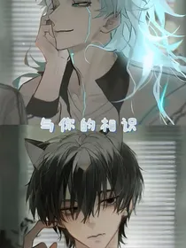 伽小：与你的相识