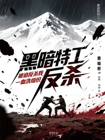 黑暗特工被迫反杀我一人血洗组织