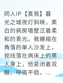 真我暮光救赎