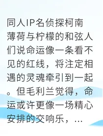 兰白夜行者的钢琴协奏