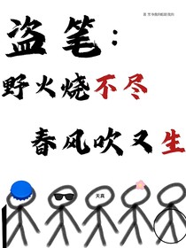 盗笔：野火烧不尽，春风吹又生