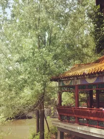 一剑荡仙界