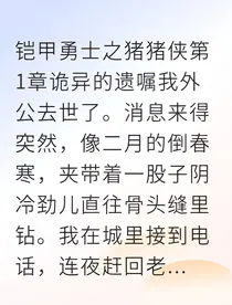 铠甲勇士之辰戌纪