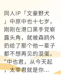 双黑默示录：雨夜囚笼