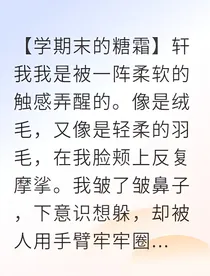 月下糖霜与星河之约
