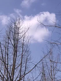 颠倒匆匆