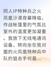 猎鹰之殇：火凤凰的边境追击