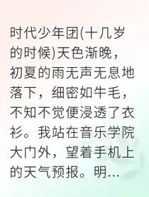 维也纳的琴声与我的你